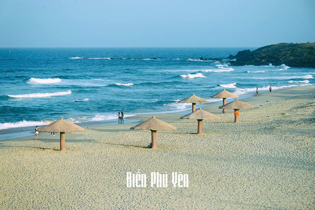 Phú Yên những điểm checkin không thể bỏ qua ở xứ hoa vàng trên cỏ xanh