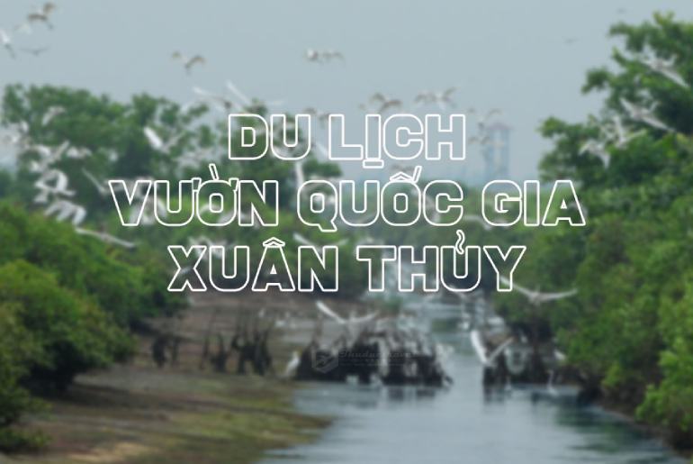 Vườn Quốc Gia Xuân Thủy Nam Định – Khu Ramsar Đầu Tiên Của Việt Nam