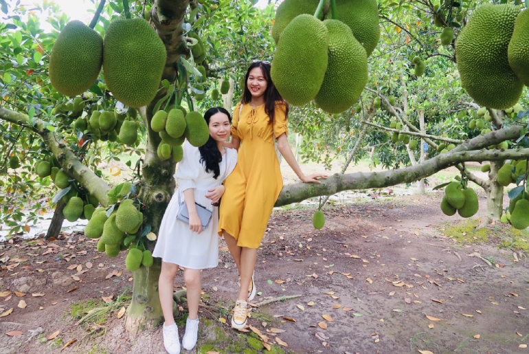 Du Lịch Sinh Thái Vĩnh Kim – Thủ Phủ Trái Cây Nức Tiếng Miền Tây