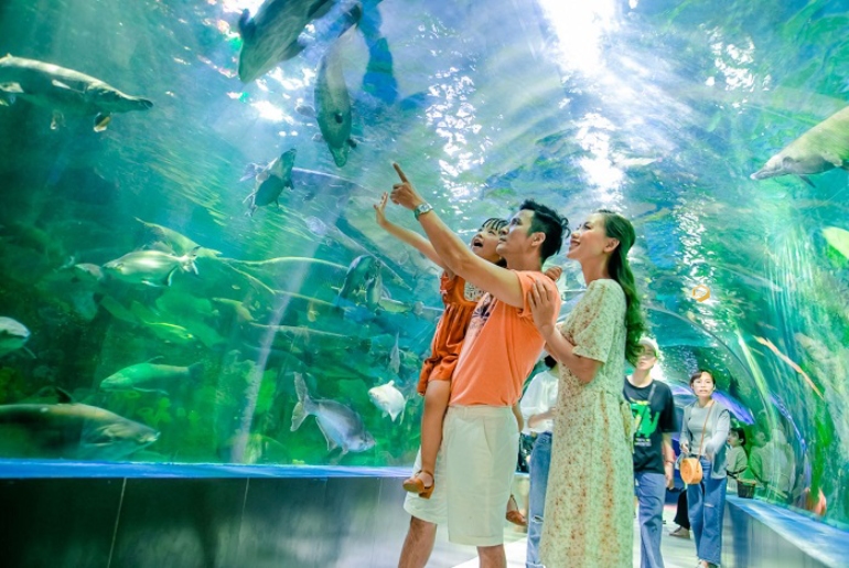 Viện Hải Dương Học Nha Trang – Bảo Tàng Sinh Vật Biển Đa Dạng