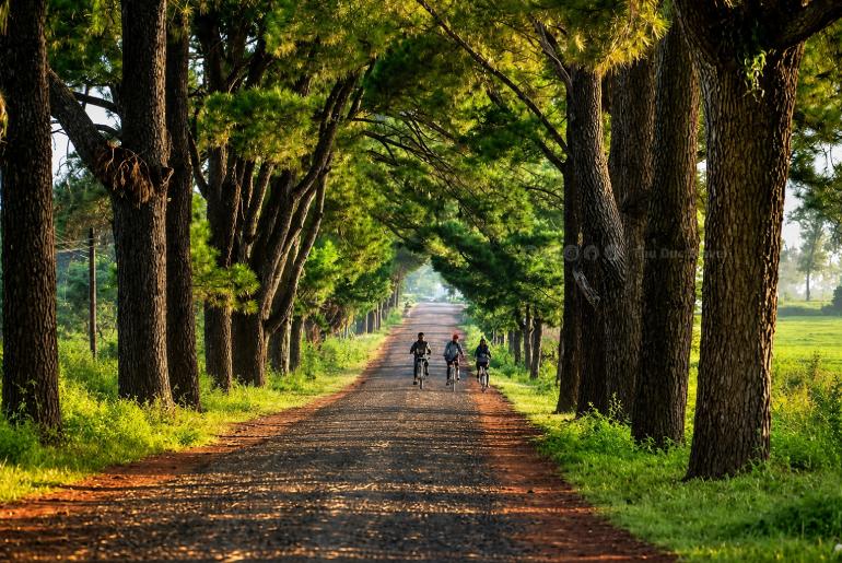 Những Lưu Ý Khi Đi Du Lịch Gia Lai Để Có Trải Nghiệm Đang Nhớ