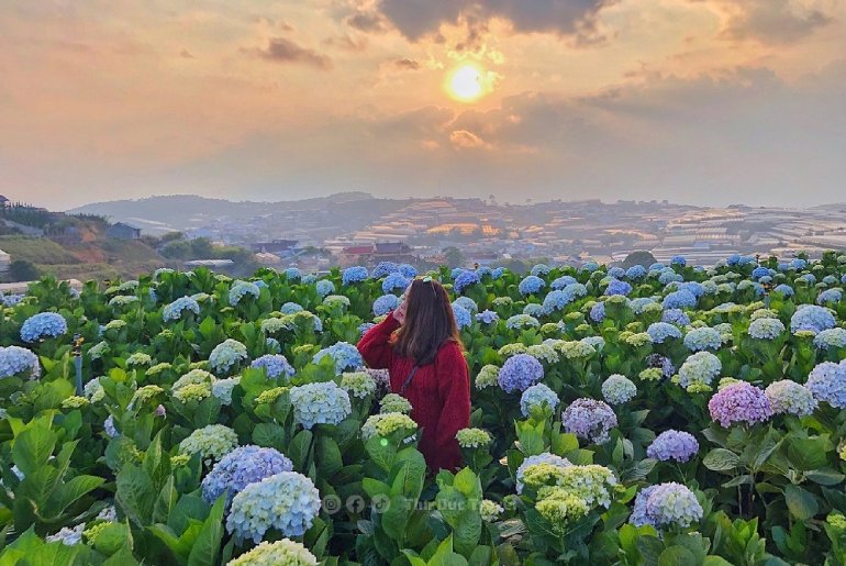 Giới Thiệu Tổng Quan Du Lịch Về Tỉnh Lâm Đồng