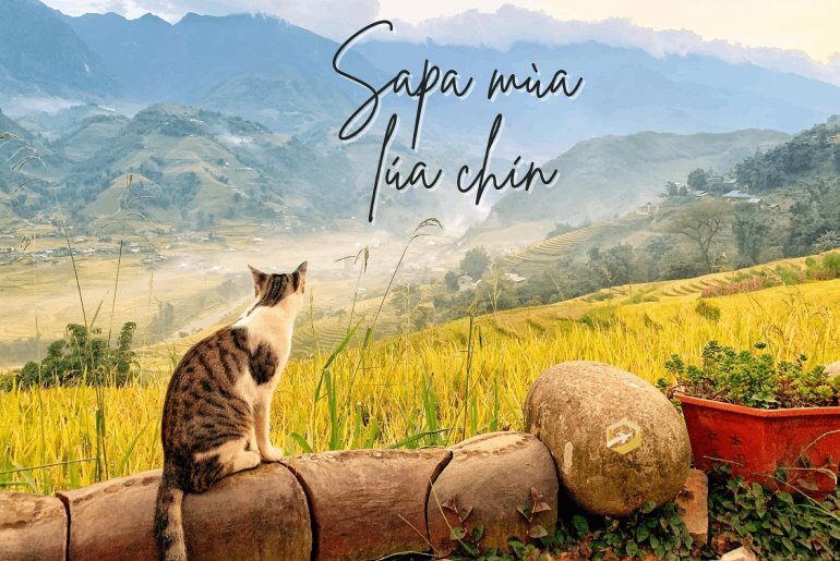 Du lịch Hà Nội - Ninh Bình - Hạ Long - Yên Tử - Sa Pa 6 ngày 5 đêm