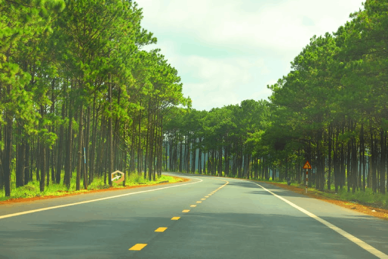 Tour Buôn Mê Thuột I Du lịch Buôn Mê Thuột – Tà Đùng 3 ngày 3 đêm tết
