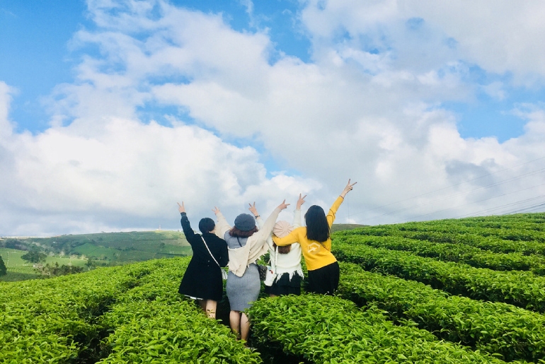 Tour Đà Lạt – Chuồn Chuồn 3 Ngày 3 Đêm - Khởi hành lễ - Tết