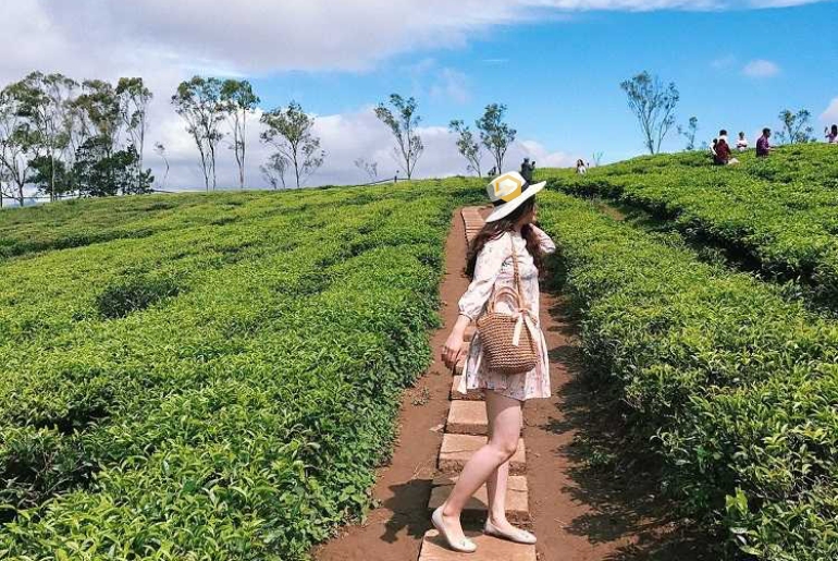 Bảo Lộc I Tour du lịch Bảo Lộc 2 ngày 2 đêm - Thiên Đường Nghỉ Dưỡng