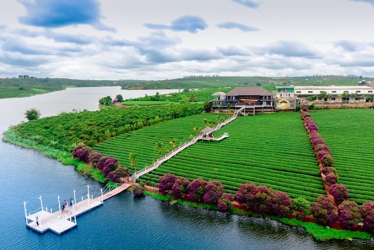Đà Lạt I Tour du lịch Đà Lạt 3 ngày 3 đêm - Đà Lạt tình yêu và nỗi nhớ