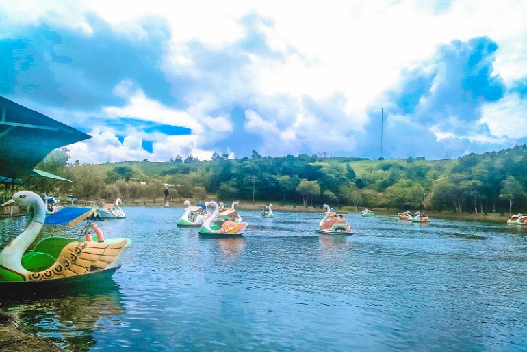 Tour Đà Lạt – Chuồn Chuồn 3 Ngày 3 Đêm - Khởi hành lễ - Tết