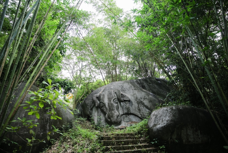 Madagui I Tour du lịch Madagui 2 ngày 1 đêm I Vẻ Đẹp Núi Rừng