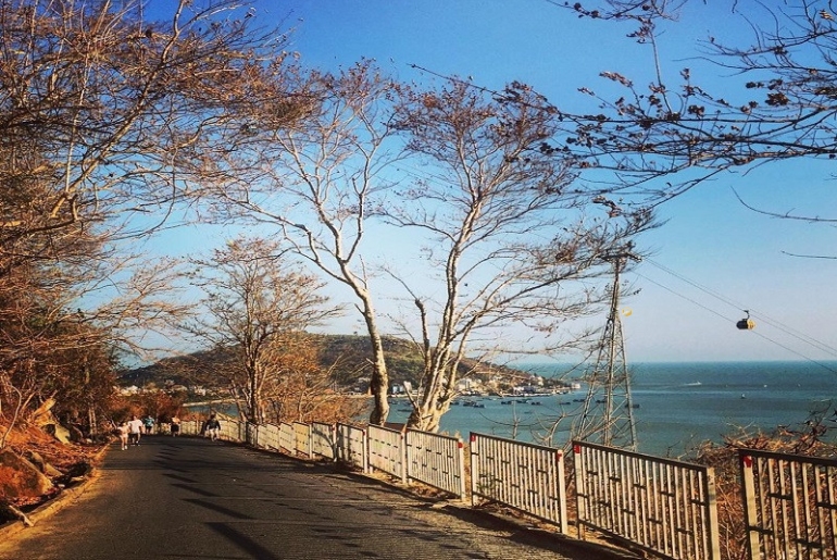 Tour Học Sinh Vũng Tàu Biển Xanh Vẫy Gọi - Hướng Nghiệp 1 Ngày