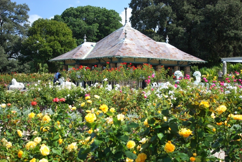 Du lịch Châu Úc I Tour Australia - Sydney - Melbourne 6 Ngày 5 Đêm