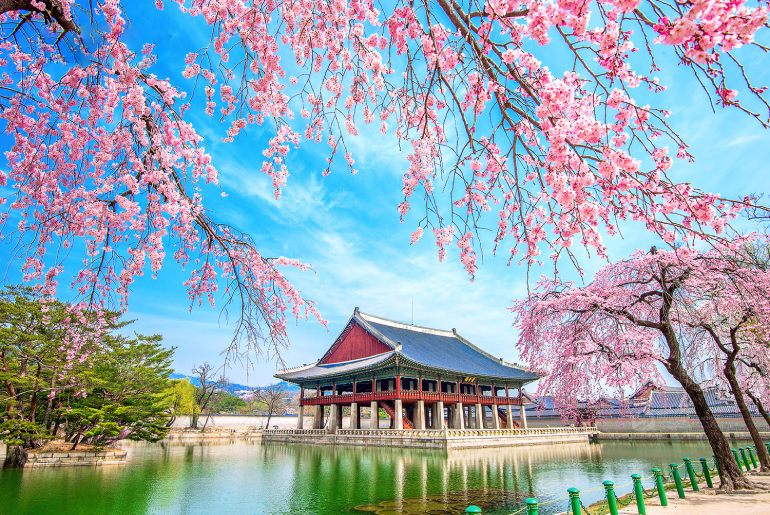 Tour Hàn Quốc I Seoul - Đảo Nami - Lotte World 5 Ngày 4 Đêm