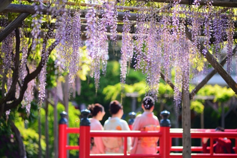 Du lịch Châu Á I Tour Nhật Bản - Osaka - Kyoto - Tokyo 5 Ngày 5 Đêm