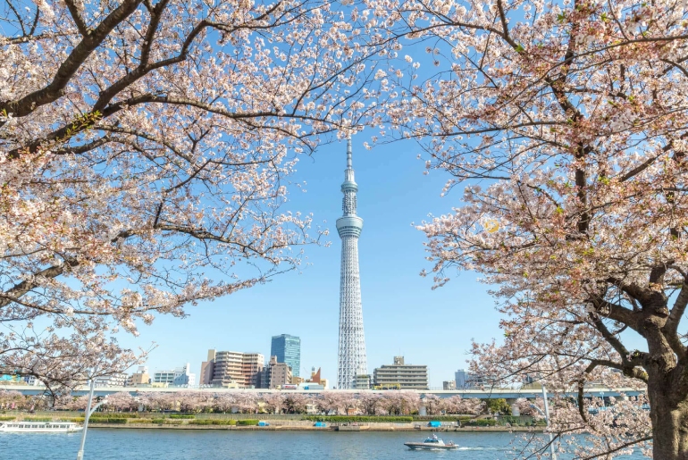 Du lịch Châu Á I Tour Nhật Bản - Osaka - Kyoto - Tokyo 5 Ngày 5 Đêm