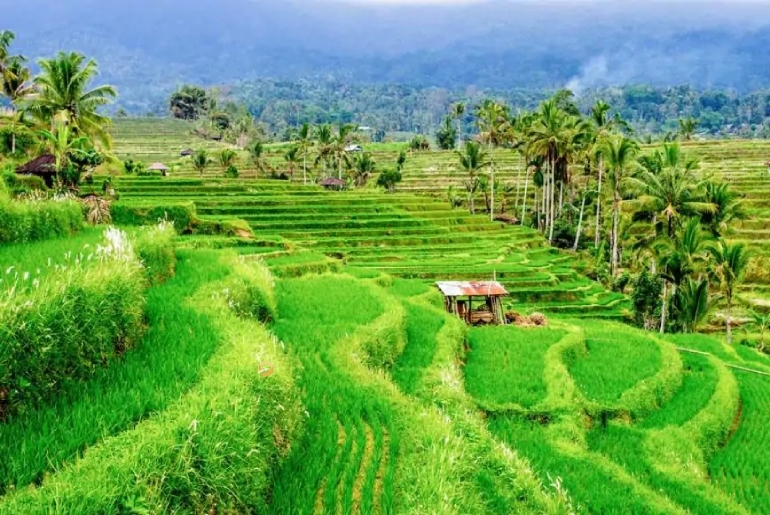 Du lịch Châu Á I Tour Đảo Bali Thiên Đường Du Lịch 4 Ngày 3 Đêm