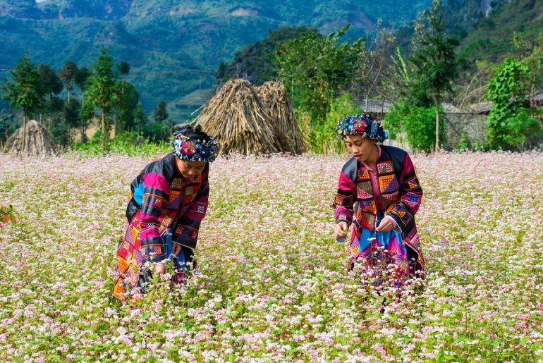 Tour Hà Giang - Cao Bằng - Thác Bản Giốc - Hồ Ba Bể 5 Ngày 4 Đêm